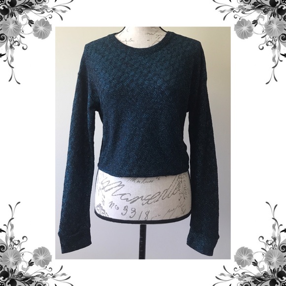 Zara Tops - {Zara} Blue Metallic Textured Long Sleeve Crop Top